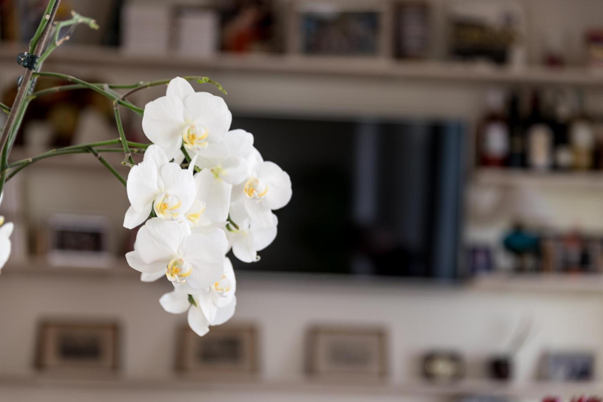 Santa Cruz - B&B Lagos Dış mekan fotoğraf