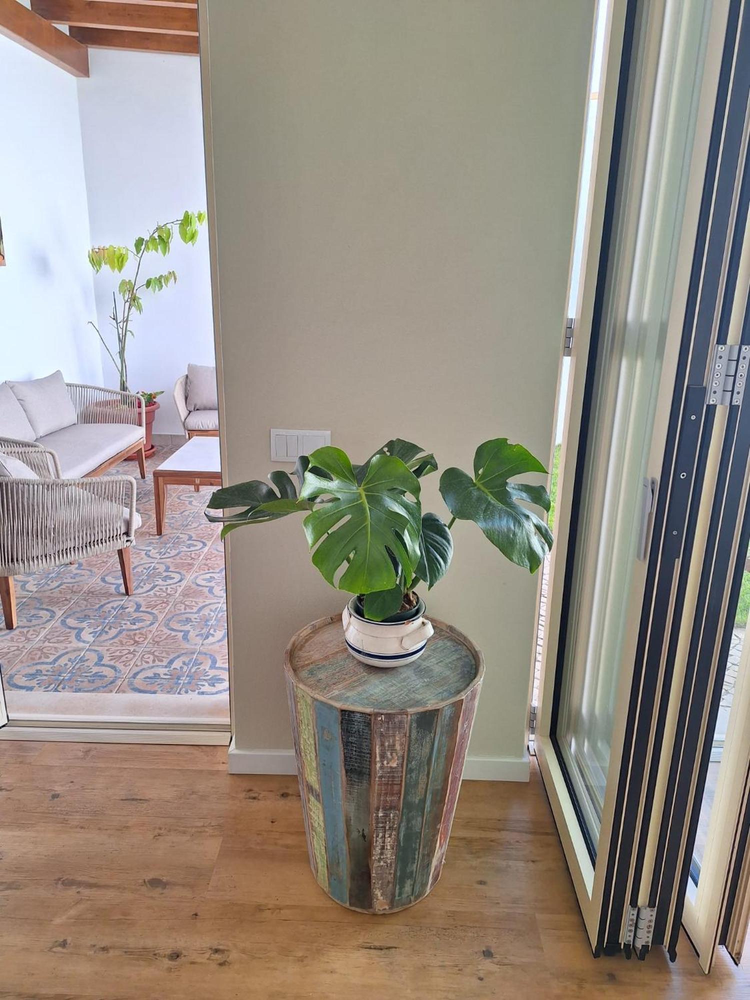 Santa Cruz - B&B Lagos Dış mekan fotoğraf
